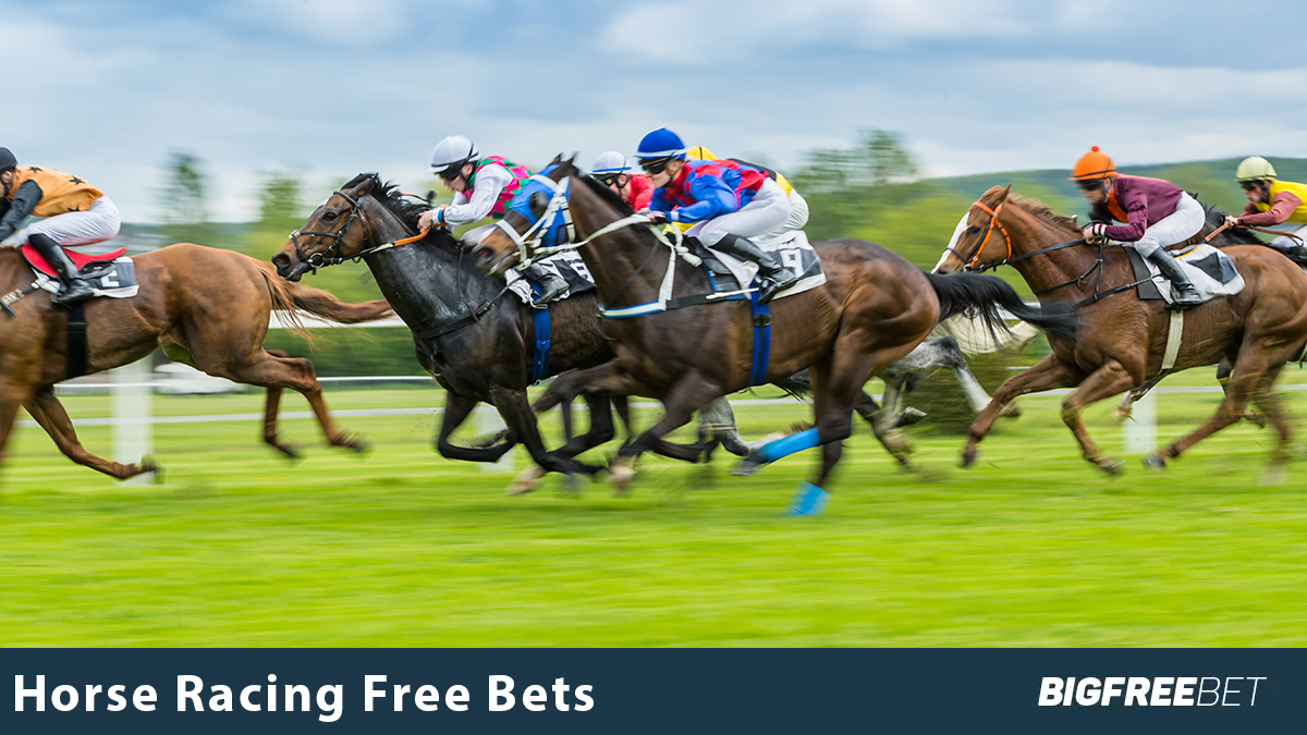 Horse Racing Free Bets