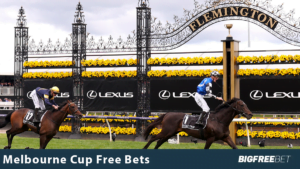 melbourne cup free bets