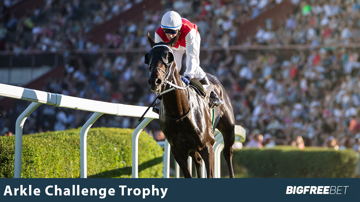 Arkle Challenge Trophy