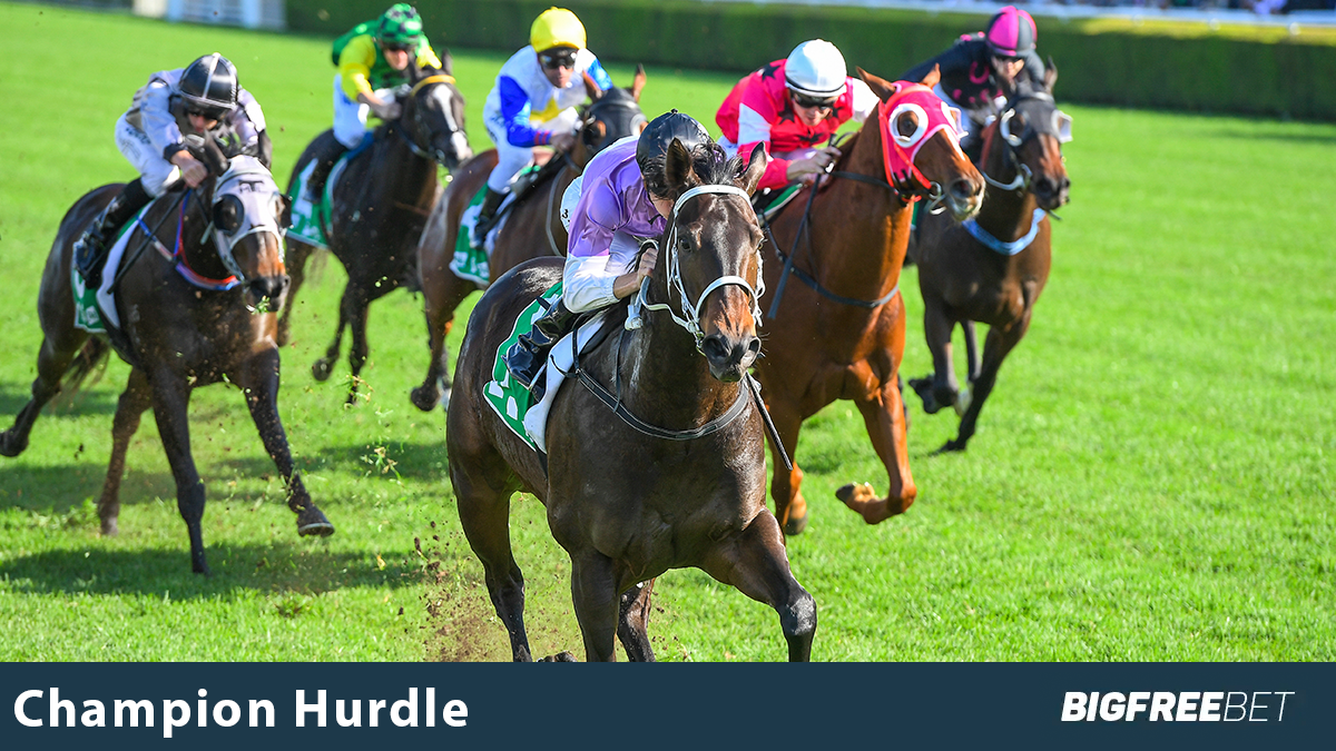 Unibet Champion Hurdle: A Guide to one of the Most Exciting Horse Race in the World