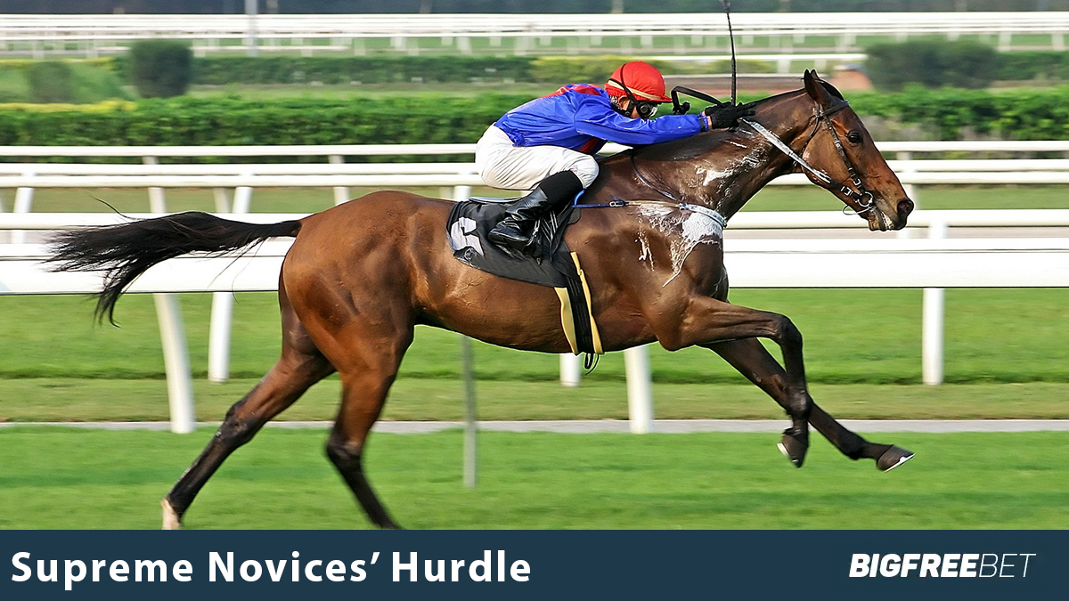 Betting on the Supreme Novices’ Hurdle: What You Need to Know