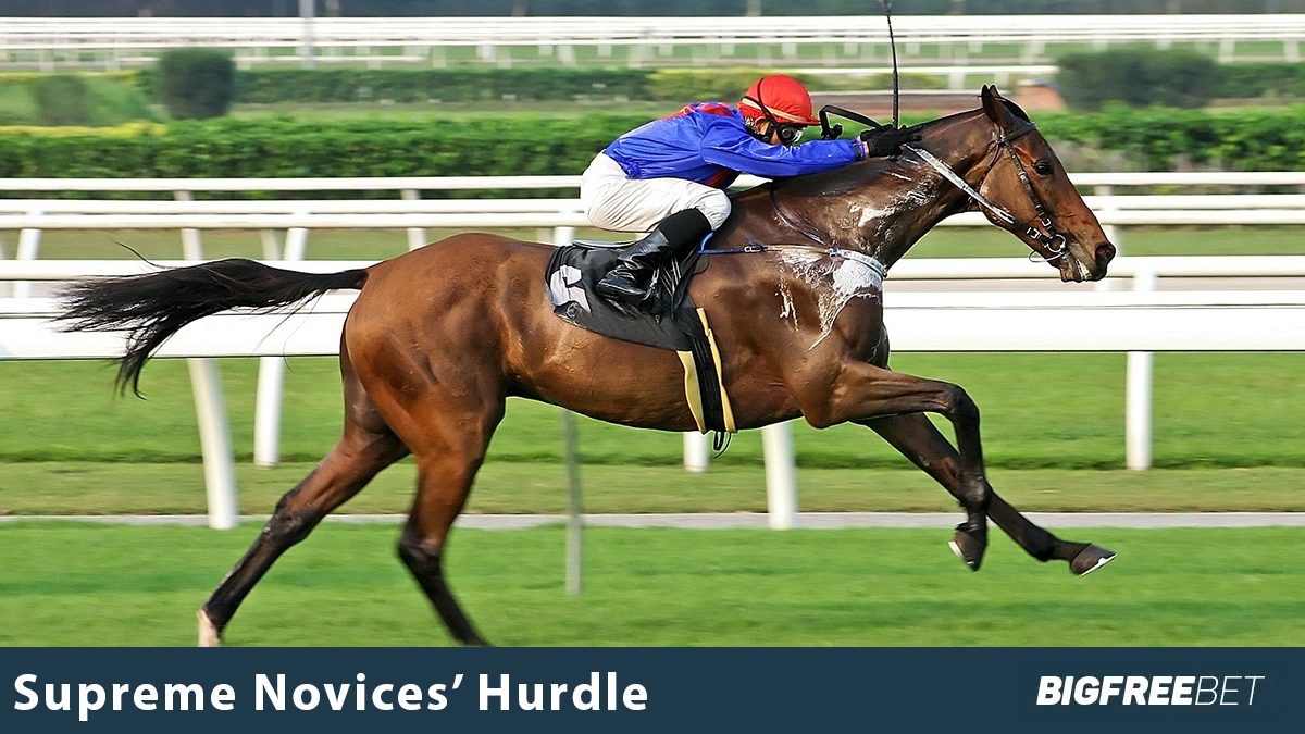 supreme novices hurdle