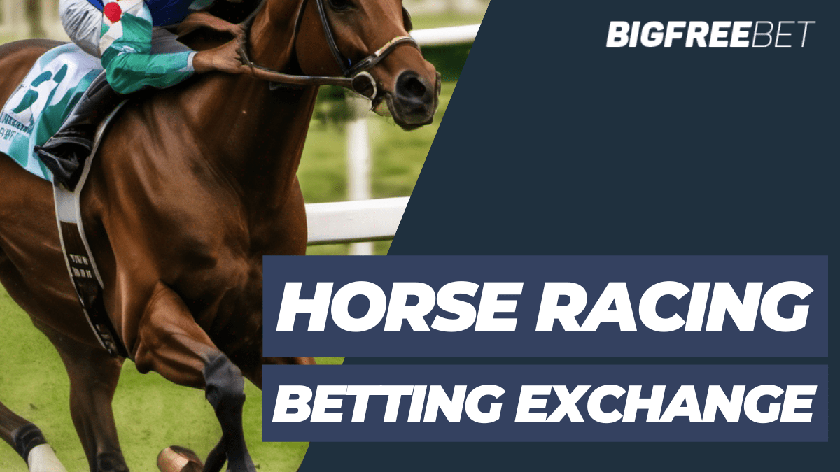 Horse Racing Betting Exchange