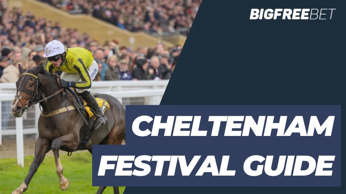 cheltenham festival guide