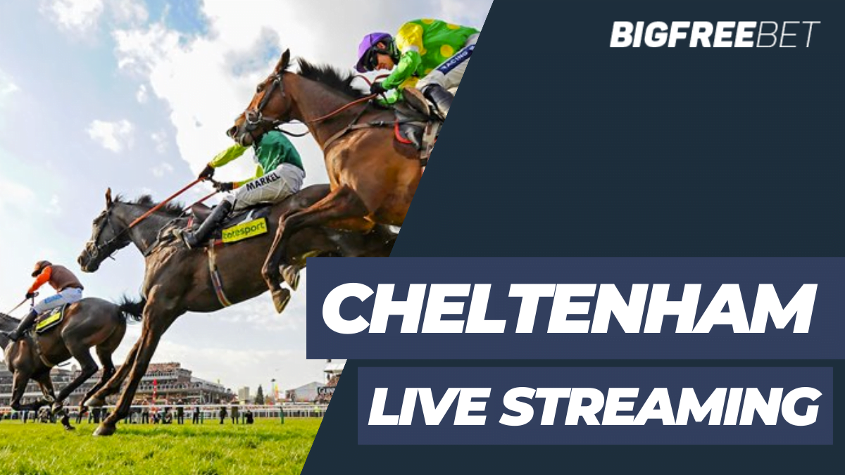 Cheltenham Live Streaming: Maximise Your Viewing Experience