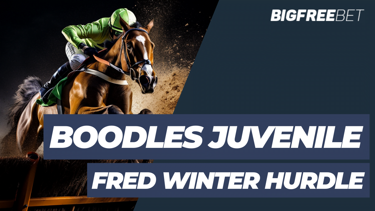 Boodles Juvenile Fred Winter Hurdle