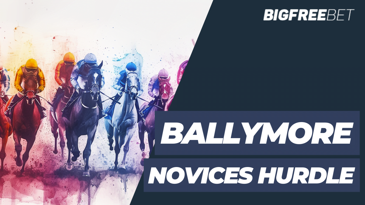 ballymore novices hurdle